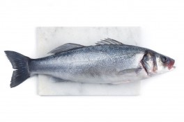 Сибас морской